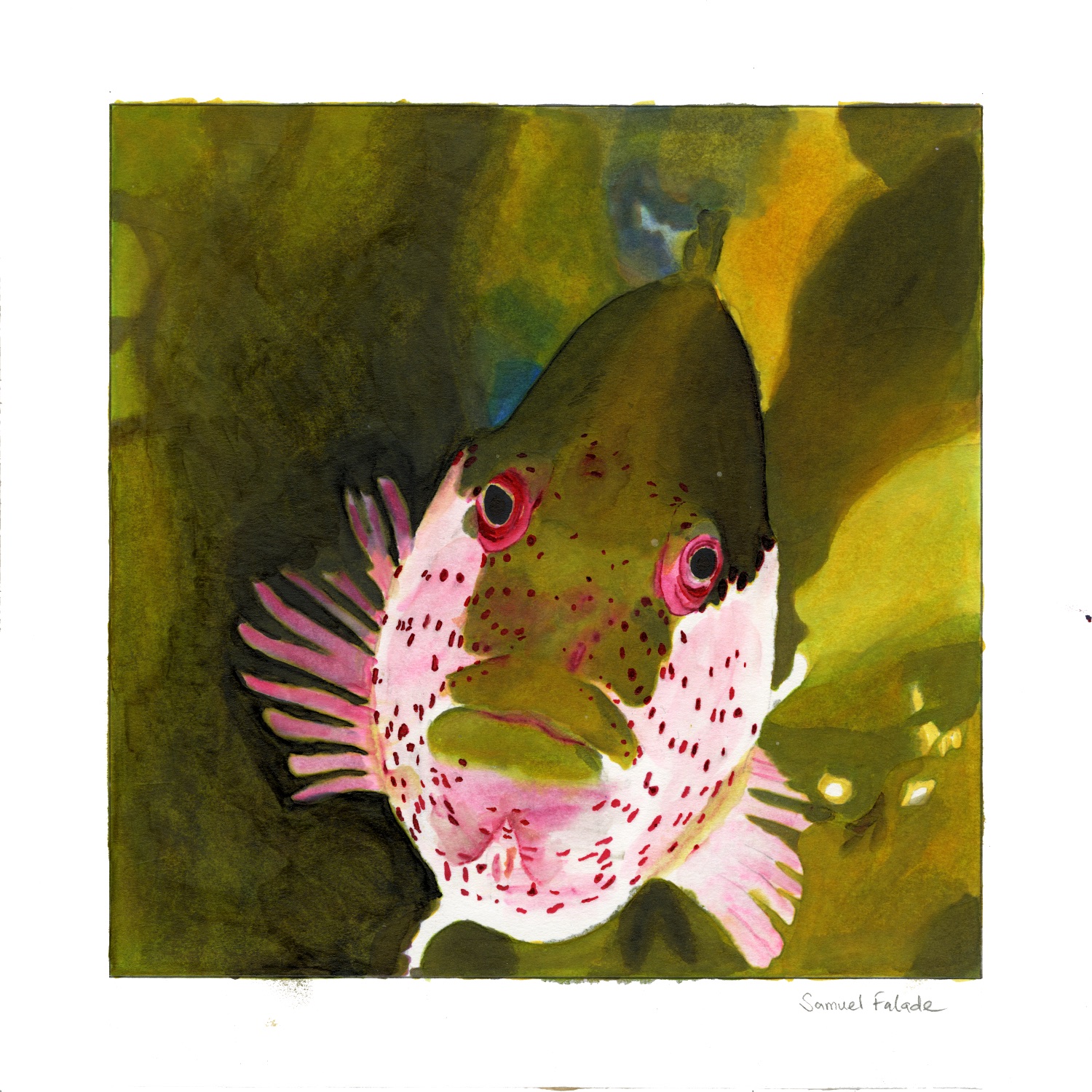 Marker painting of a fish
