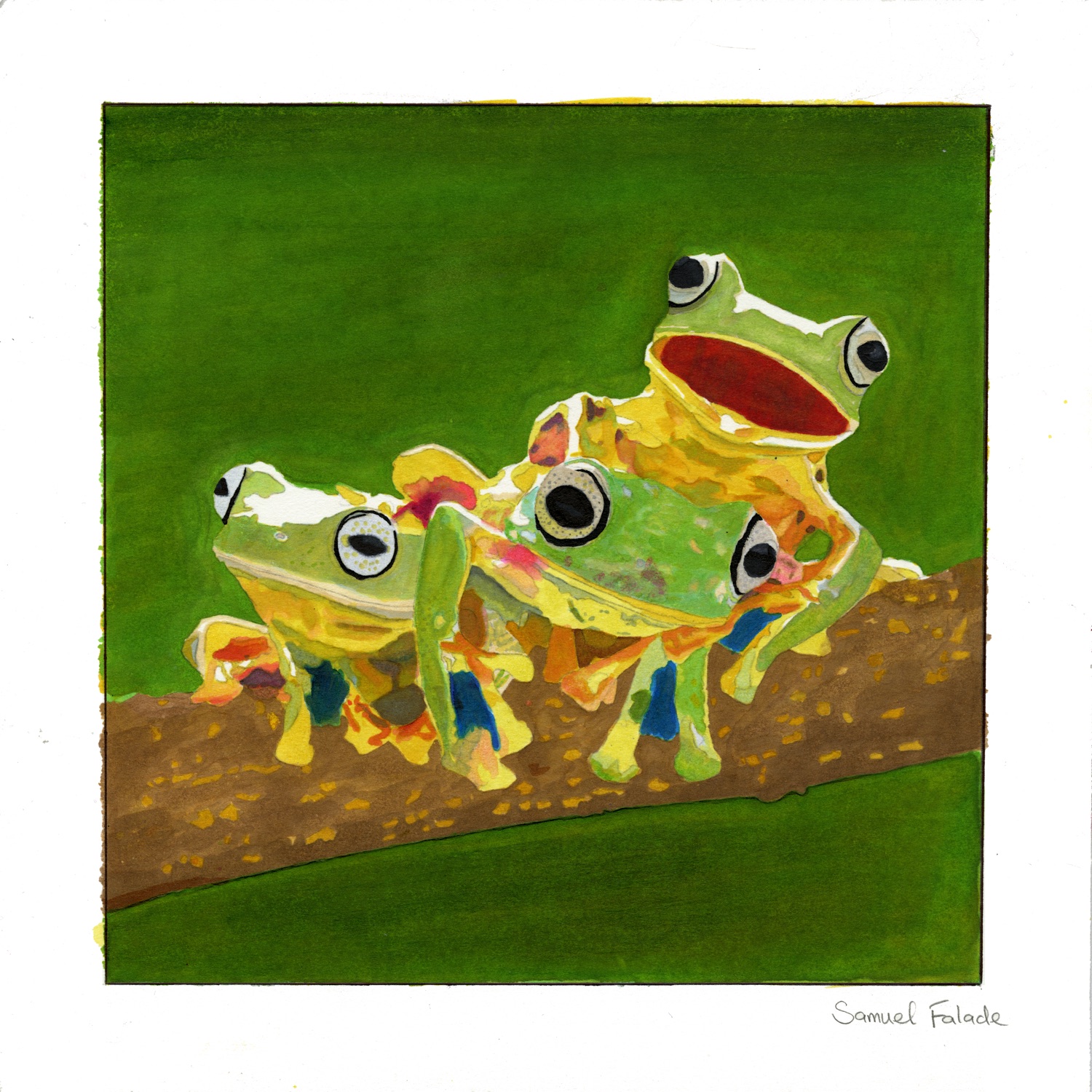 Marker painting of a frog