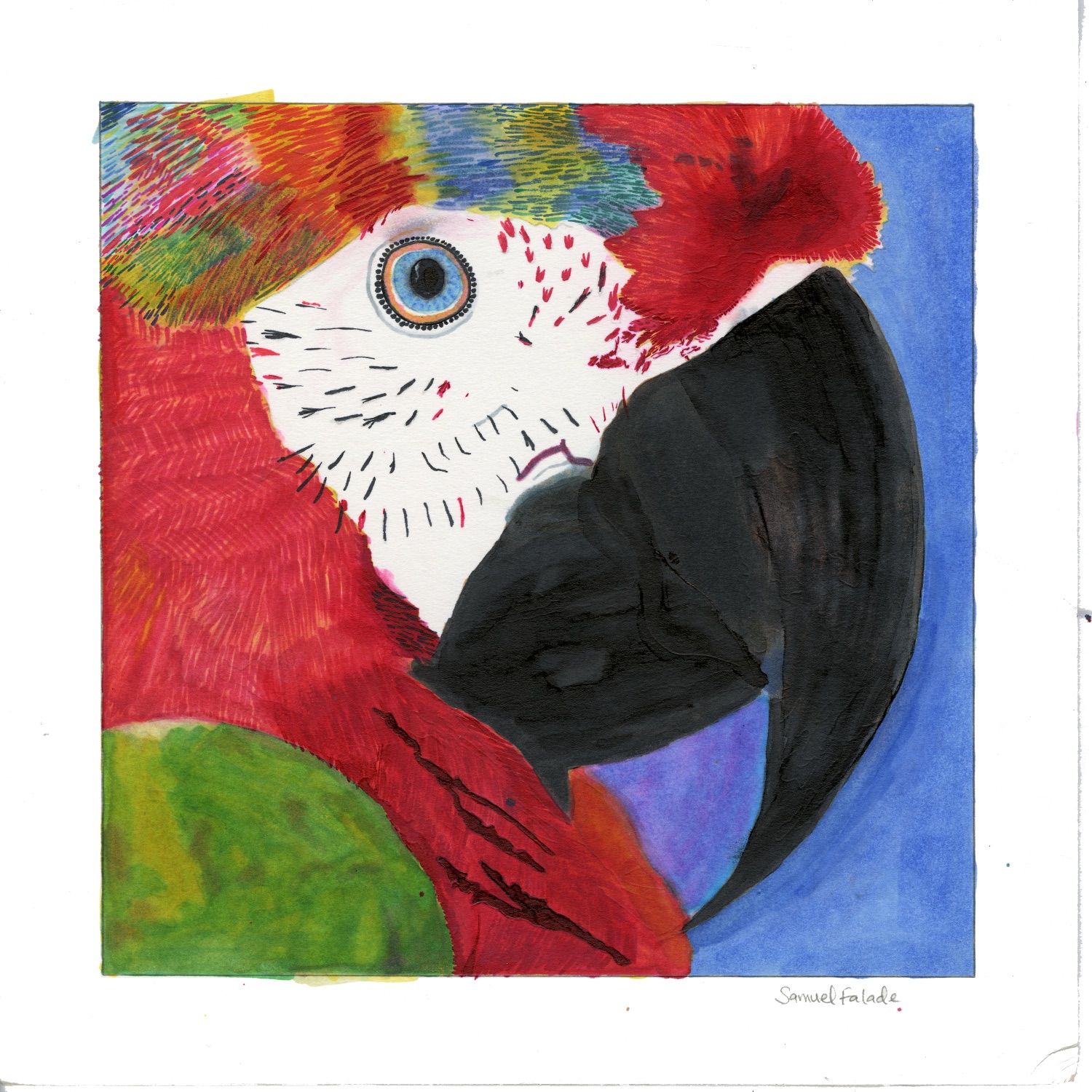 Marker painting of a parrot