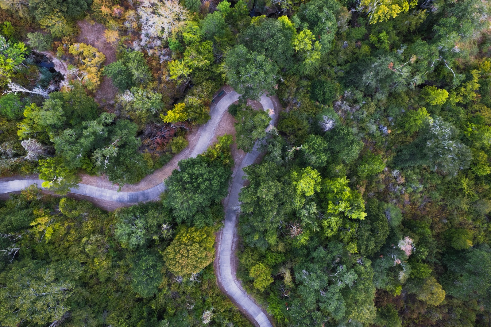 Aerial photograph
